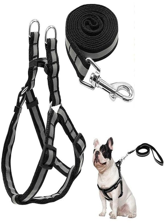 Pups&Pets طقم سرج ومقود للكلاب من Pups&Pets بنمط شريط نايلون 15 مم عاكس للضوء، مثالي للجراء والكلاب الصغيرة (أسود) - Image 1